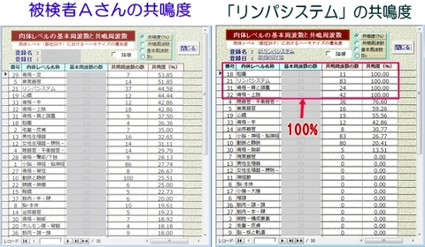 パウル・シュミット式バイオレゾナンスメソッドで波動調整を最適化する