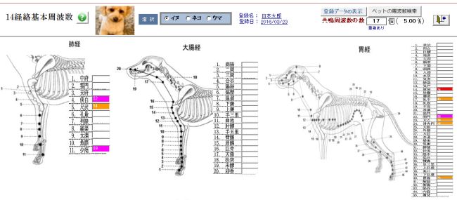 波動見える化ツール・ペット